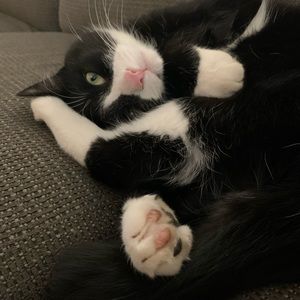 Meet your Posher, Rachel